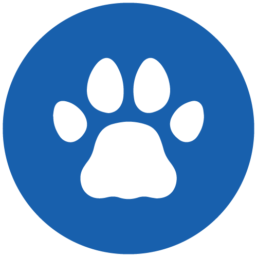 Sarasota Dog Friendly Beach Restaurant